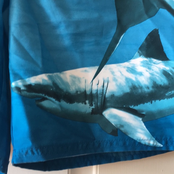 Boys swim trunk - Picture 2 of 4